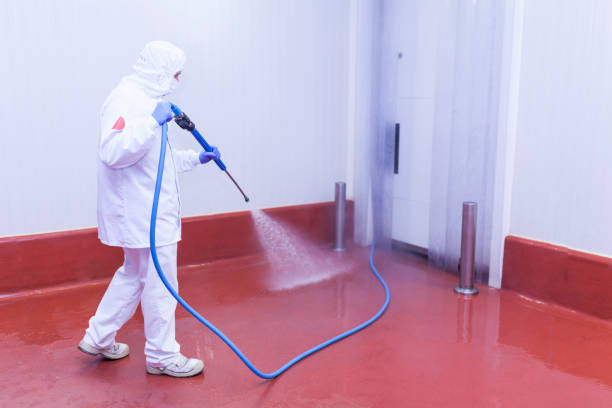 Best Graffiti Removal  in Fifth Street, TX